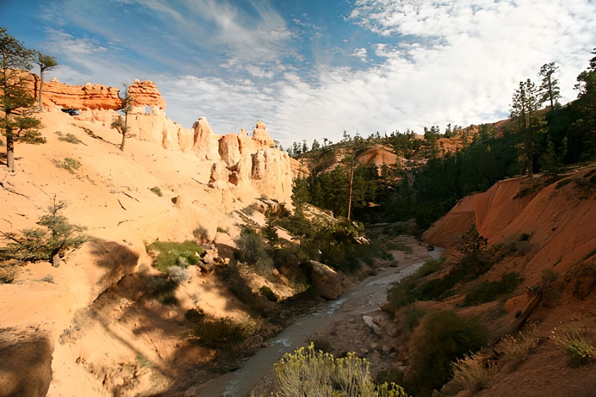 WCUK34478: View of river cutting through canyon