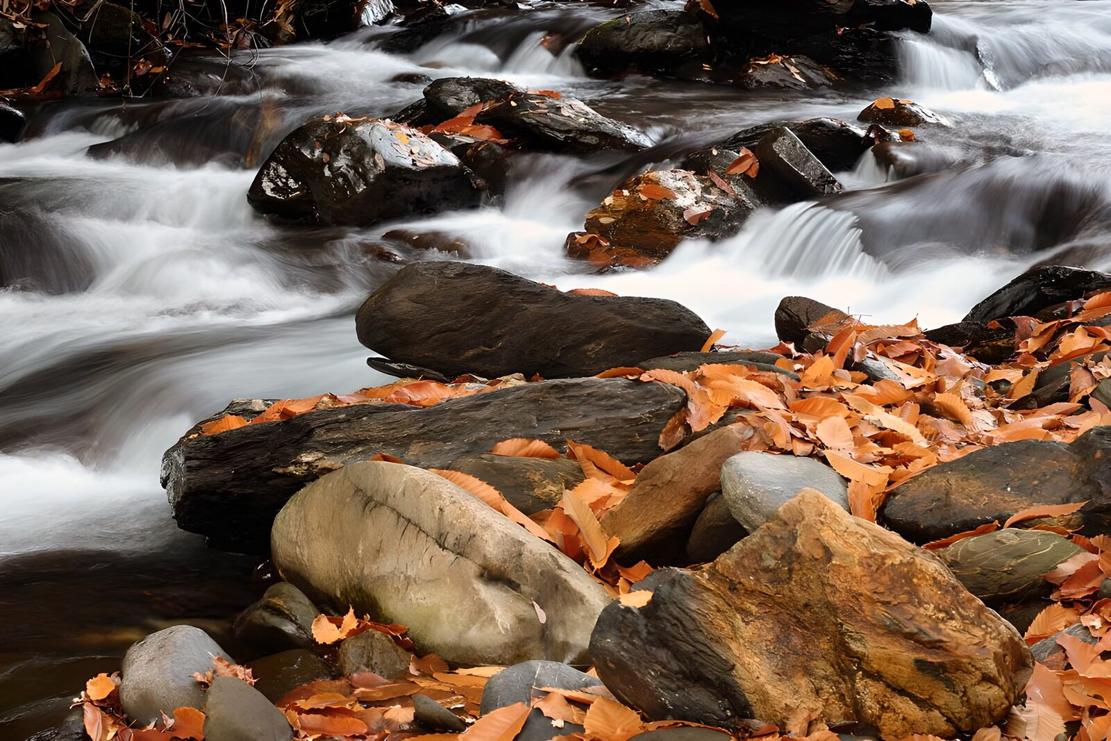 WCUK32387: 80374
