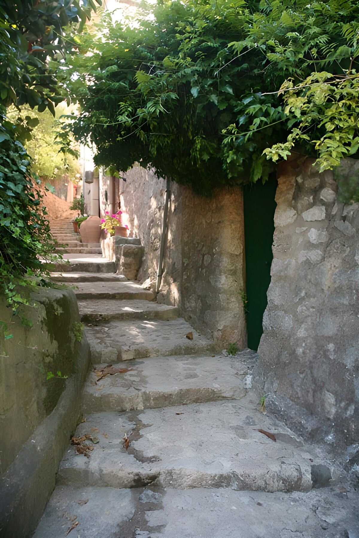 WCUK37593: Small steps running along wall with hanging foliage 2