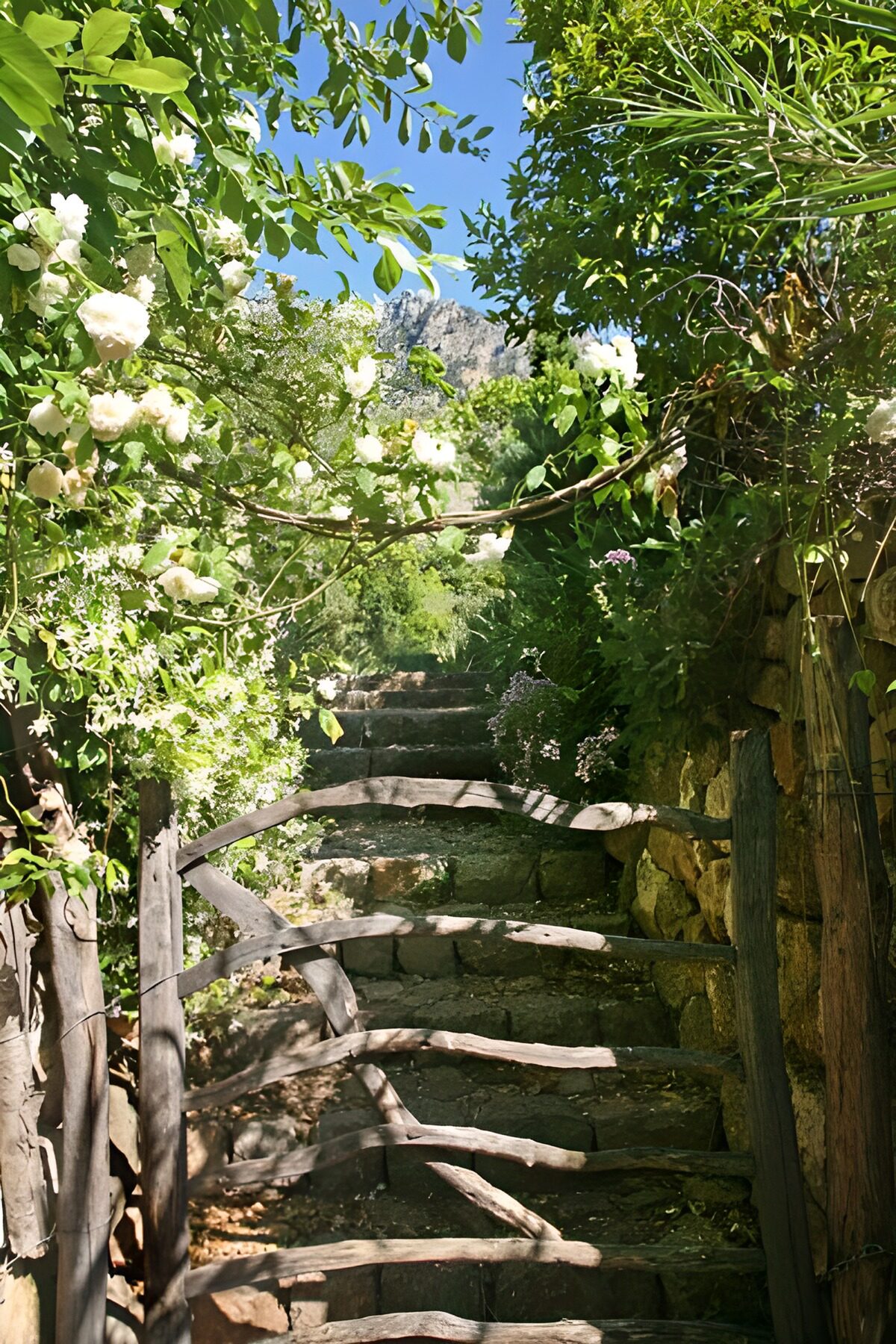 WCUK25577: Gate with stairs going up and hedges