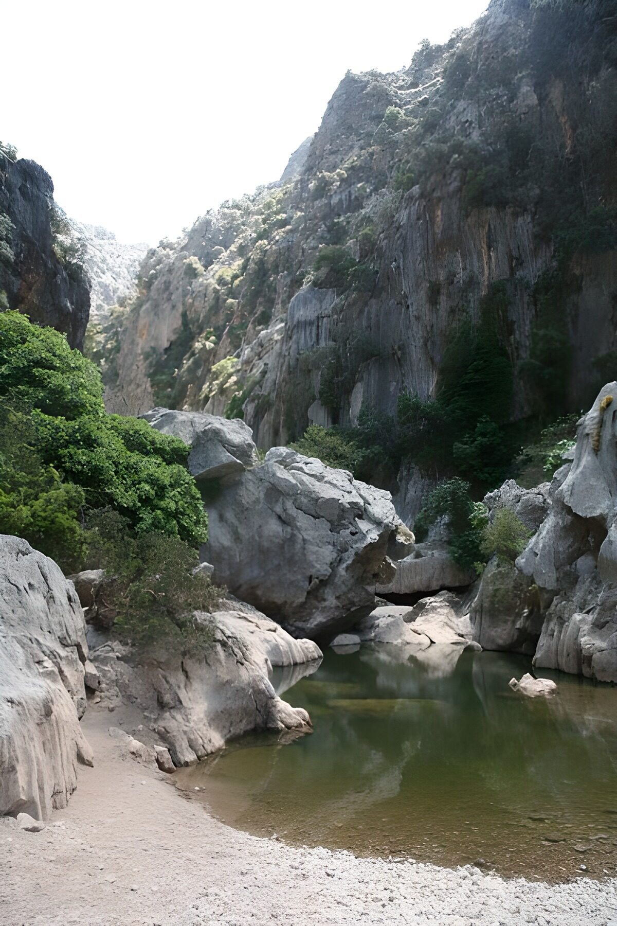 WCUK54711: Well, river, rocks and trees 4