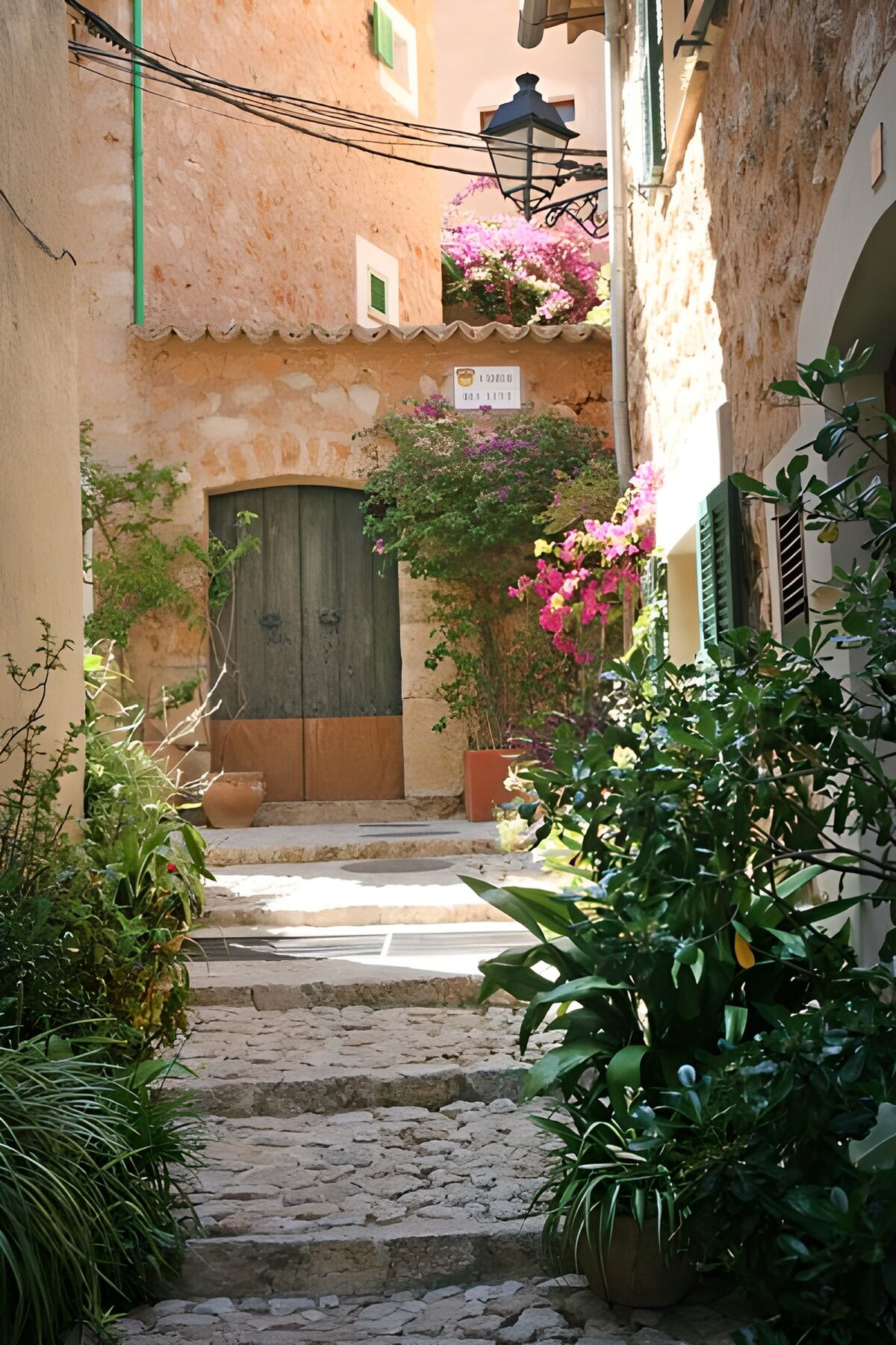 WCUK47929: Small steps with large door and plants 3