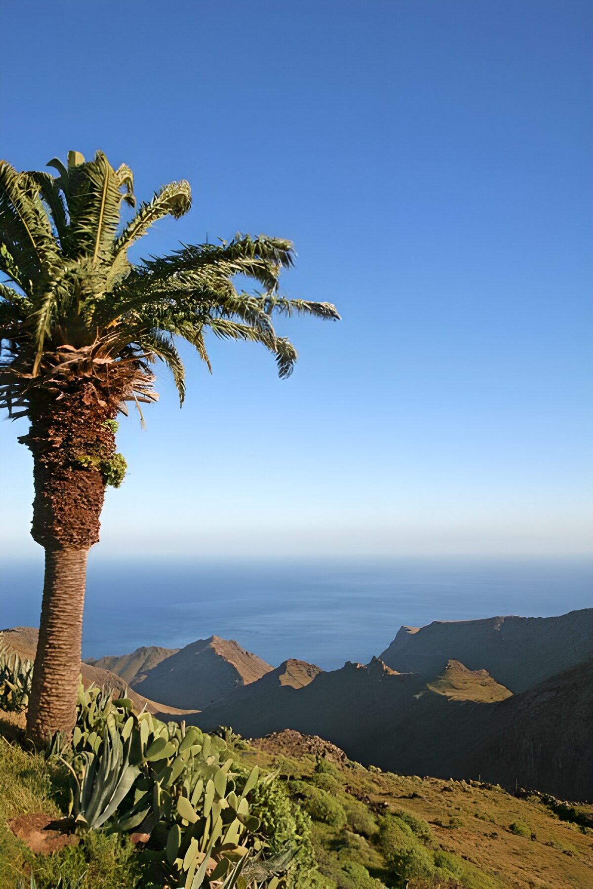 WCUK28214: La Gomera 27