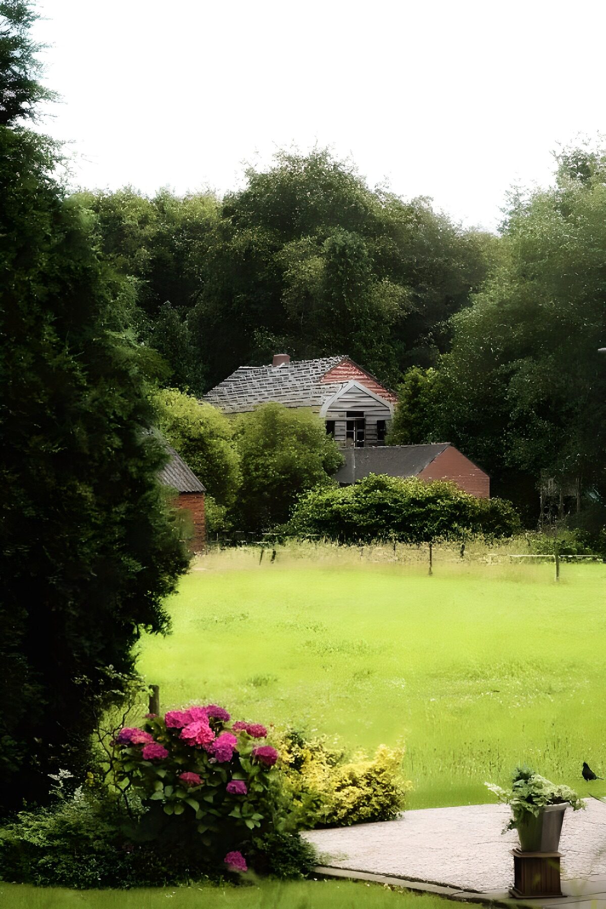 WCUK40043: Forest & Parks 33