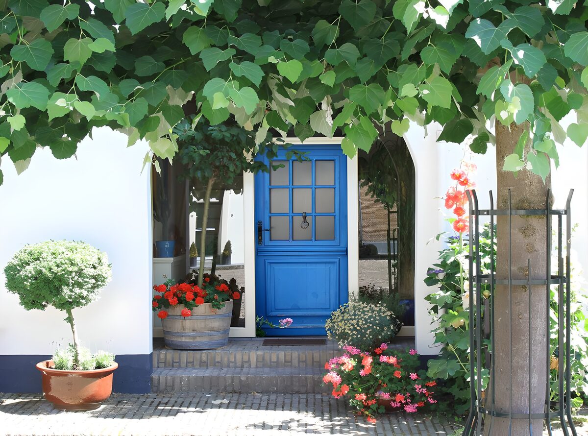 House with blue door , vines, variety of flowers and plants