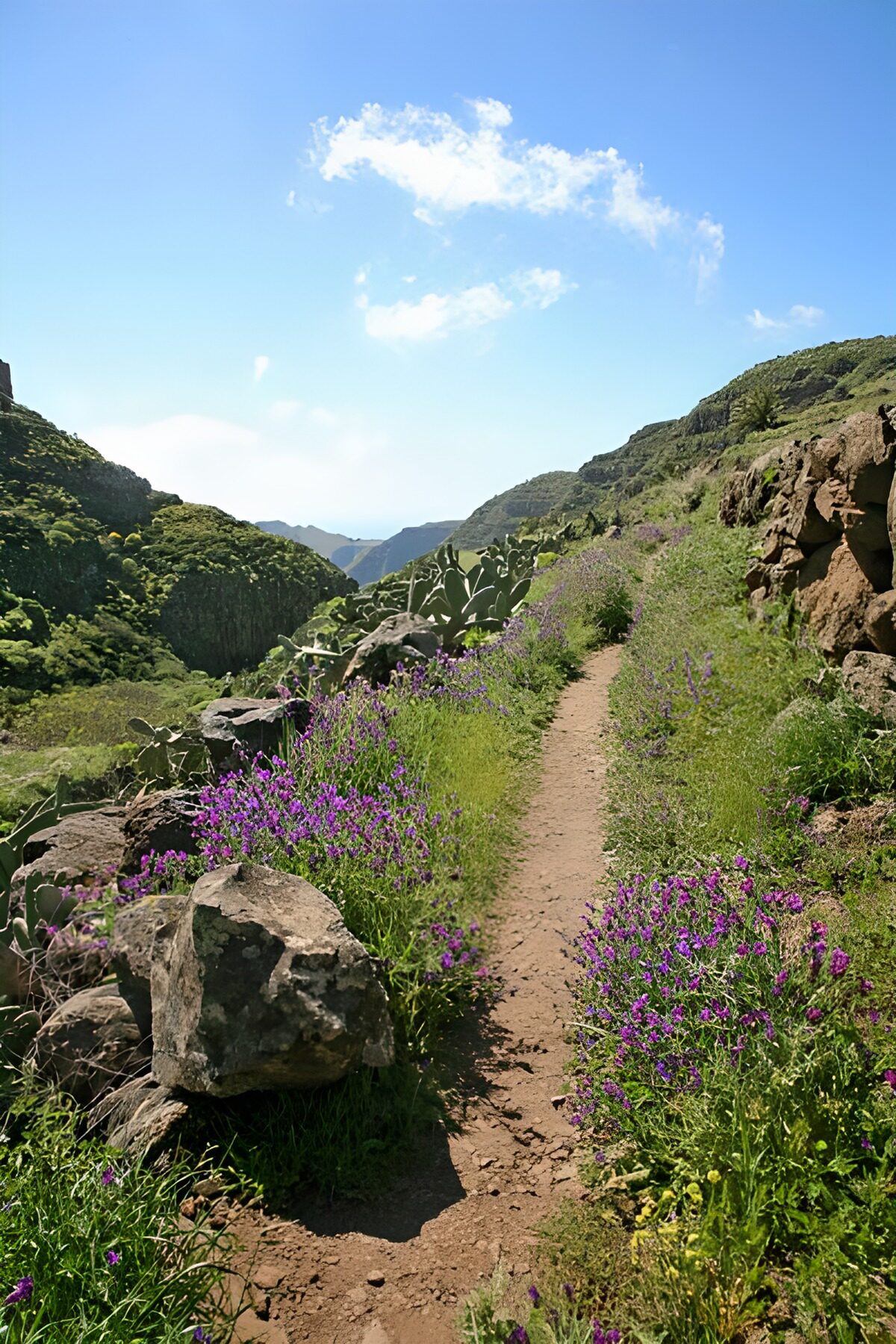 WCUK75293: La Gomera 35