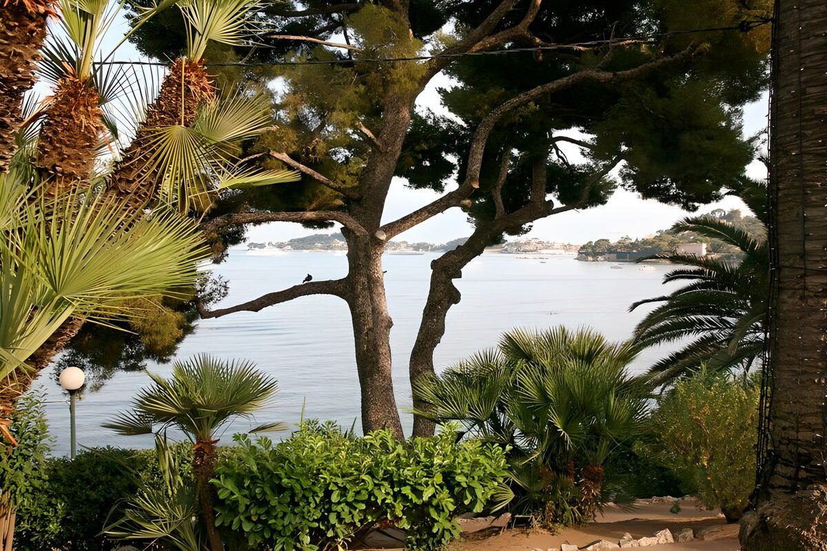 WCUK41403: View through the trees over the sea