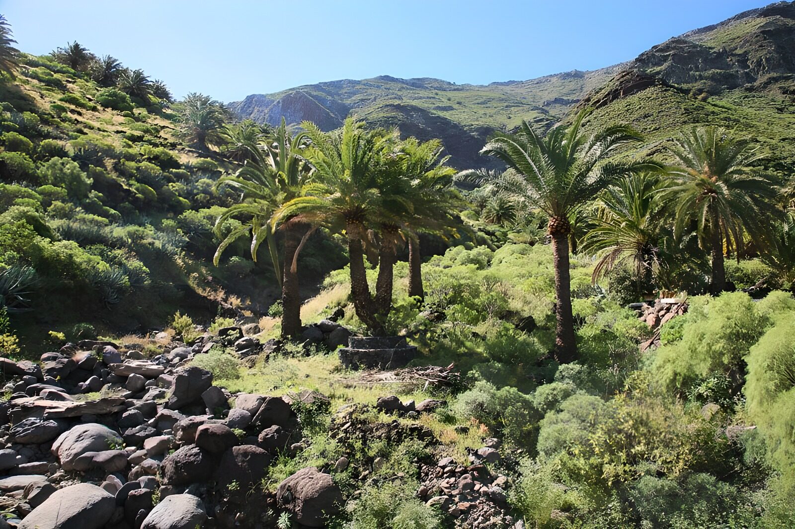 WCUK35545: La Gomera 33
