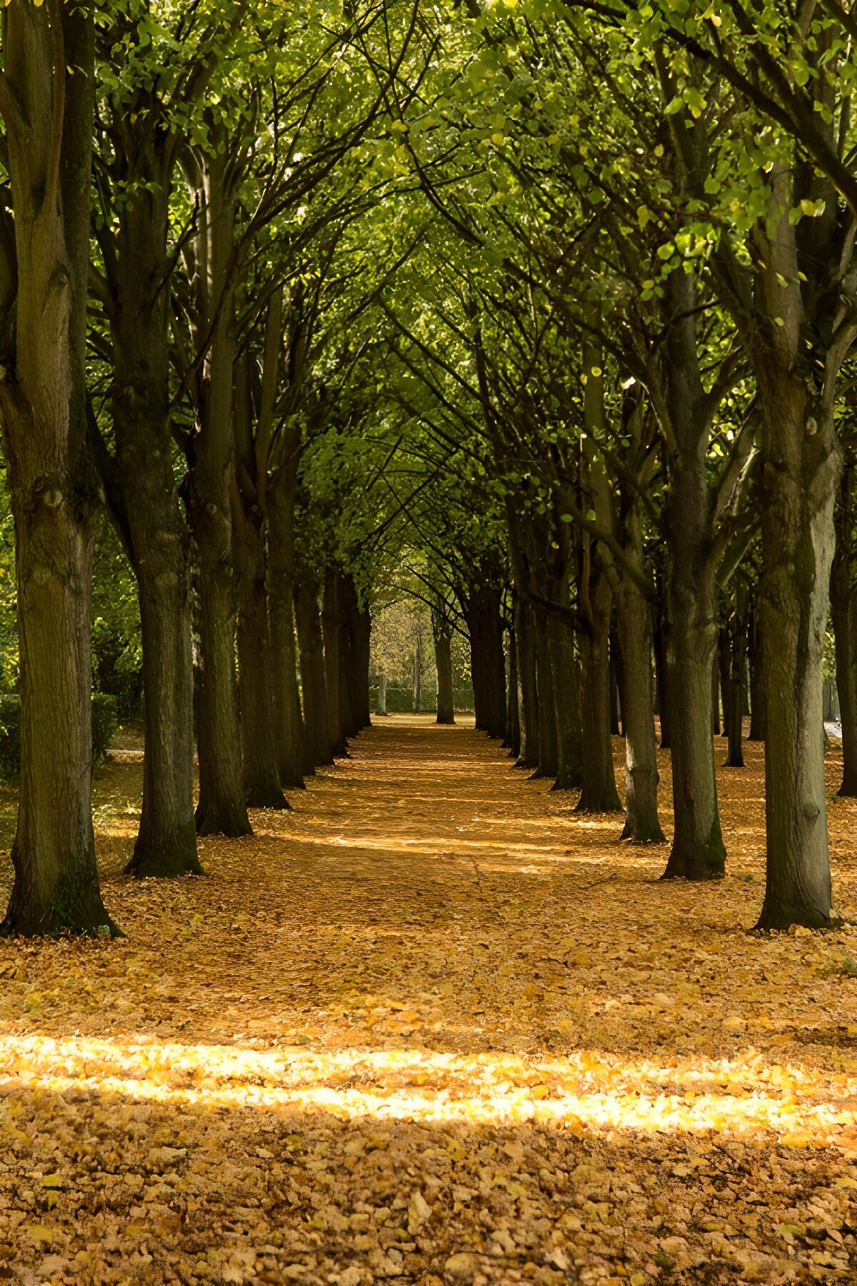 WCUK8468476