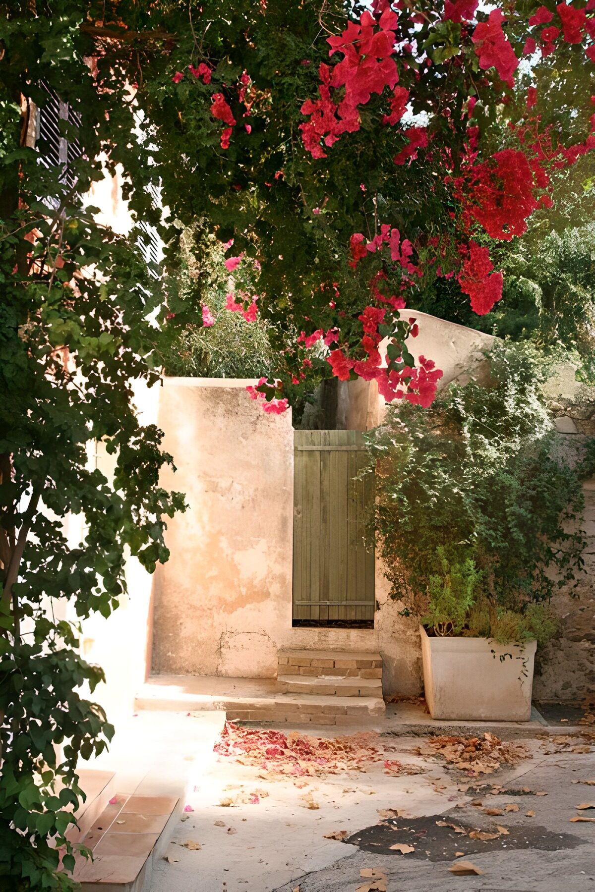 Wooden door with wall, flowers 2