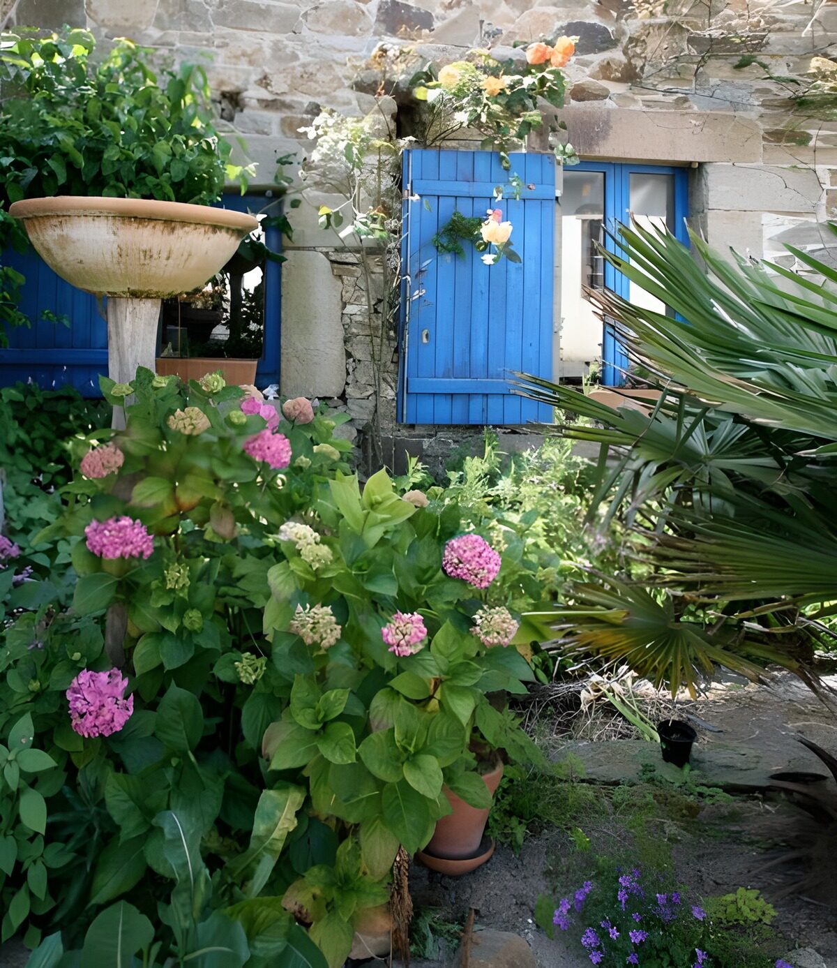 WCUK43254: Old French wall with blue shutters , variety of flowers and plants version 2