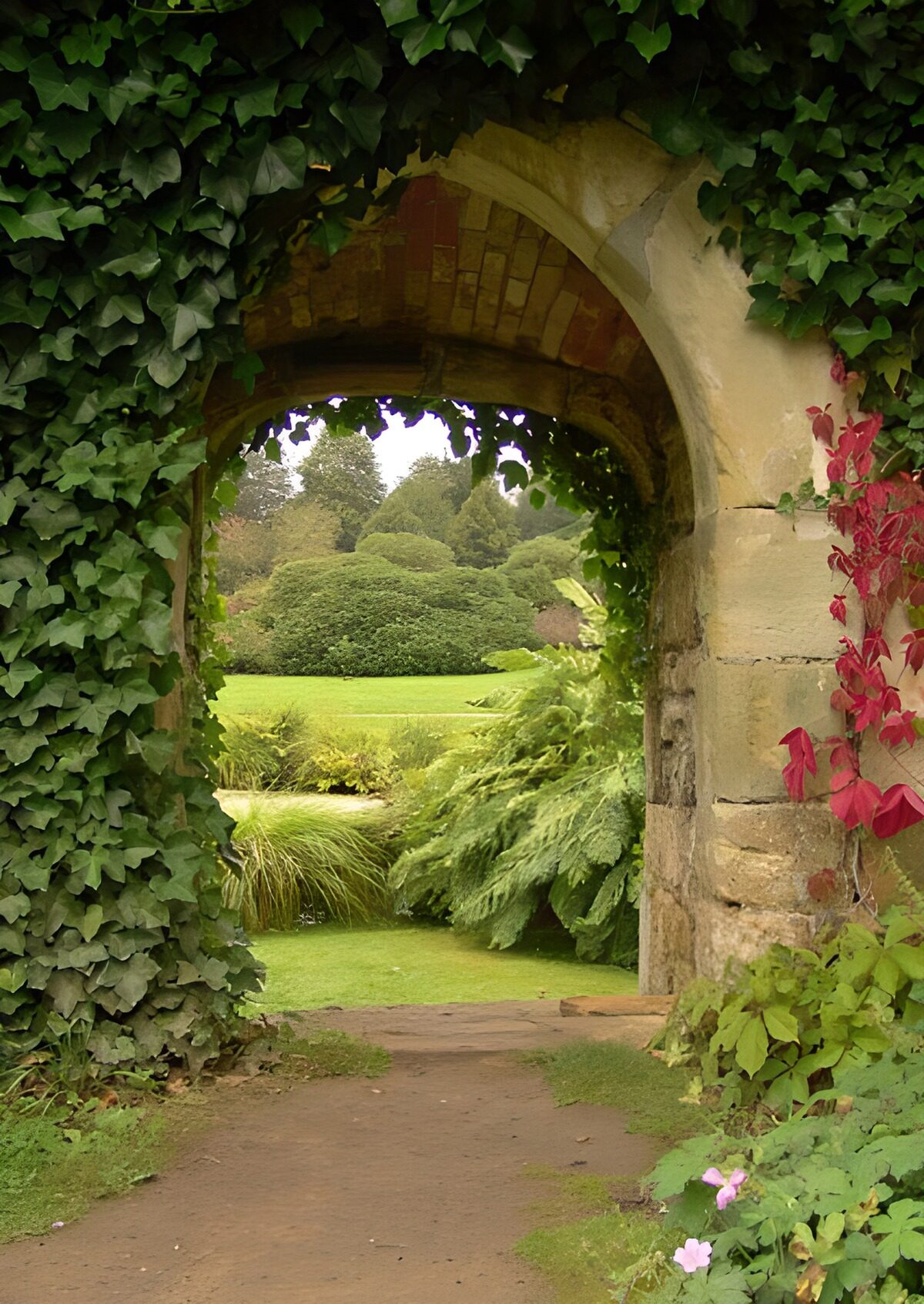 WCUK94855: Path with entrance to garden and Ivy
