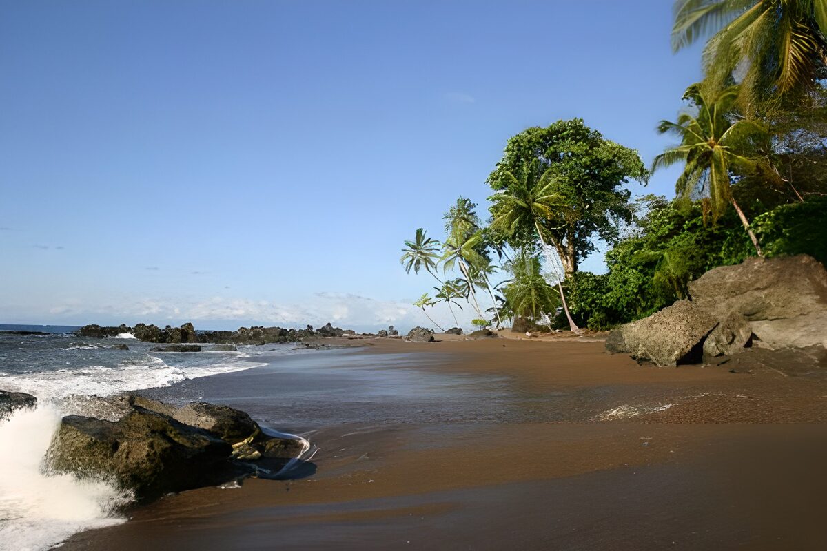 WCUK91511: Palm trees, beach on Costa Rico version 2
