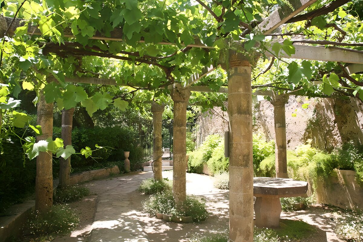 WCUK93442: Old covered terasse with vine leaves version 1