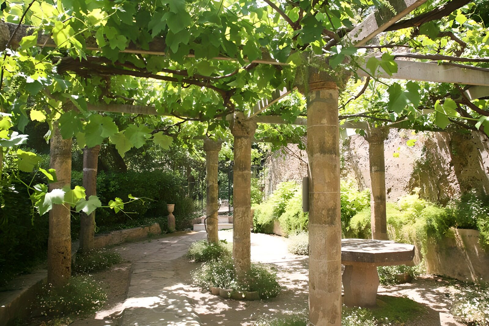 WCUK93442: Old covered terasse with vine leaves version 1