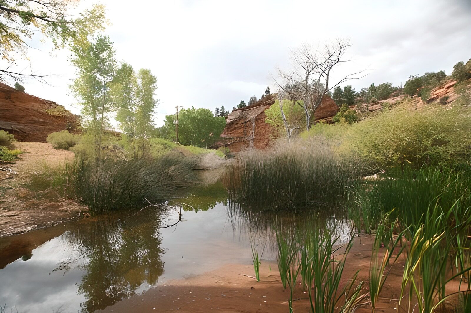 WCUK86494: Watering hole in canyon area, trees and plants