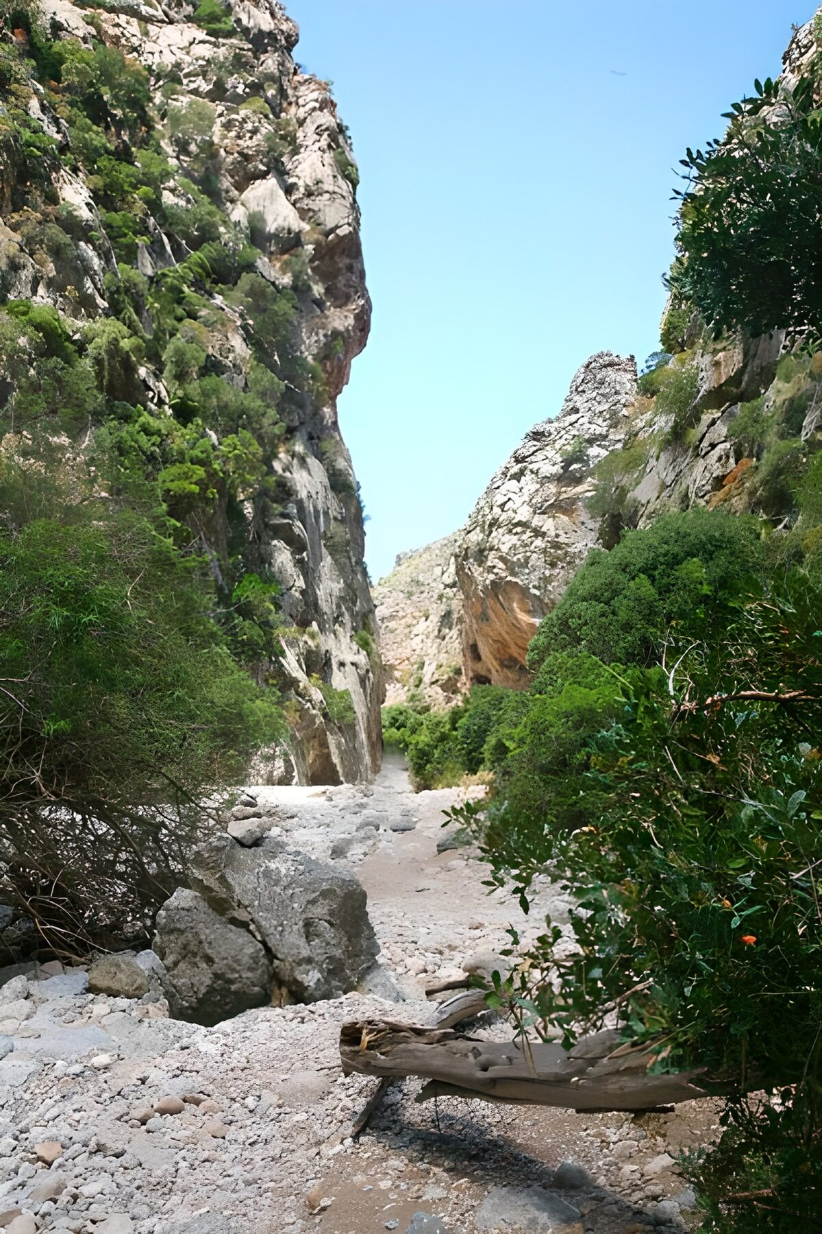 WCUK57207: Path through the rocks