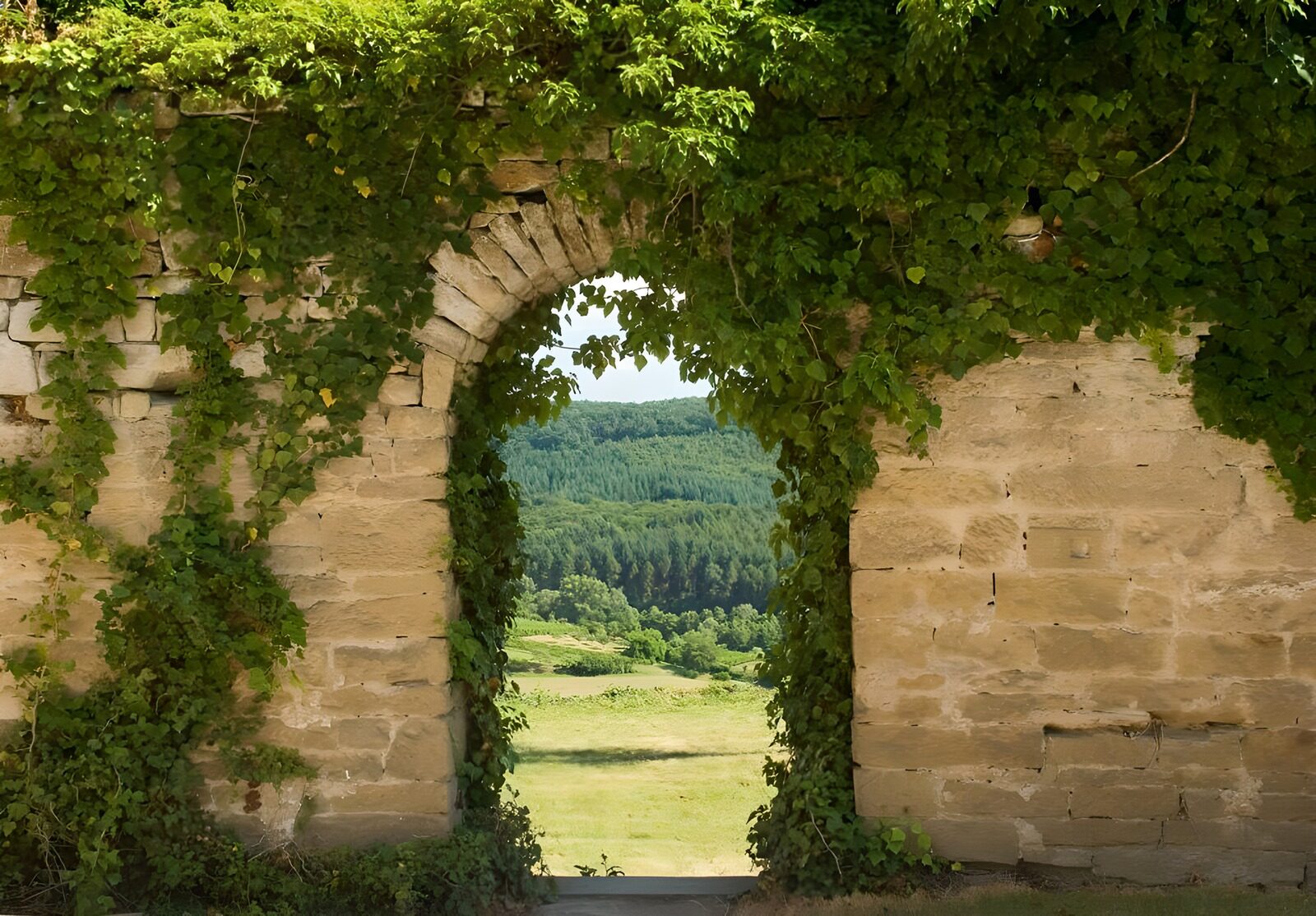 WCUK81333: Wall covered with ivies and entrance to the garden