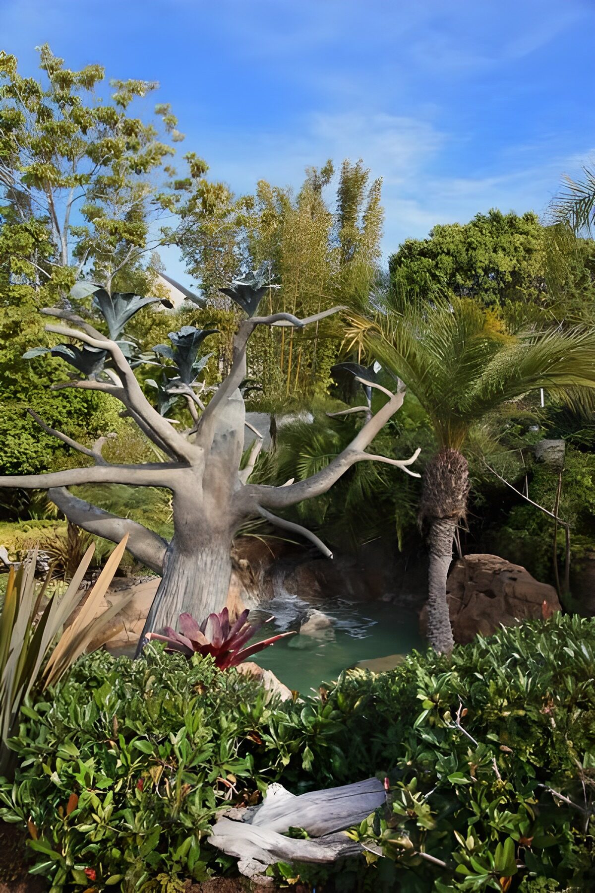 WCUK32595: Palm trees and leafless tree next to waterfall