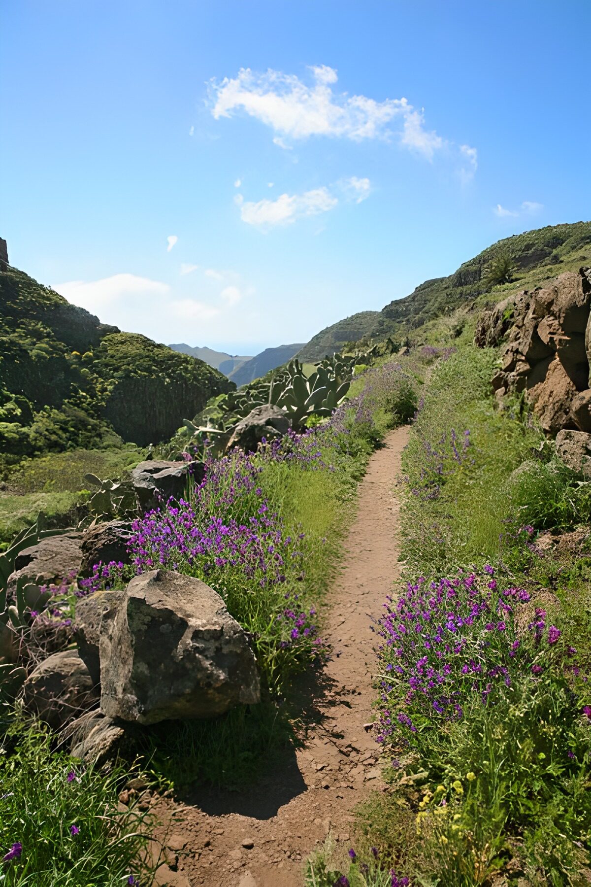 WCUK33771: La Gomera 7