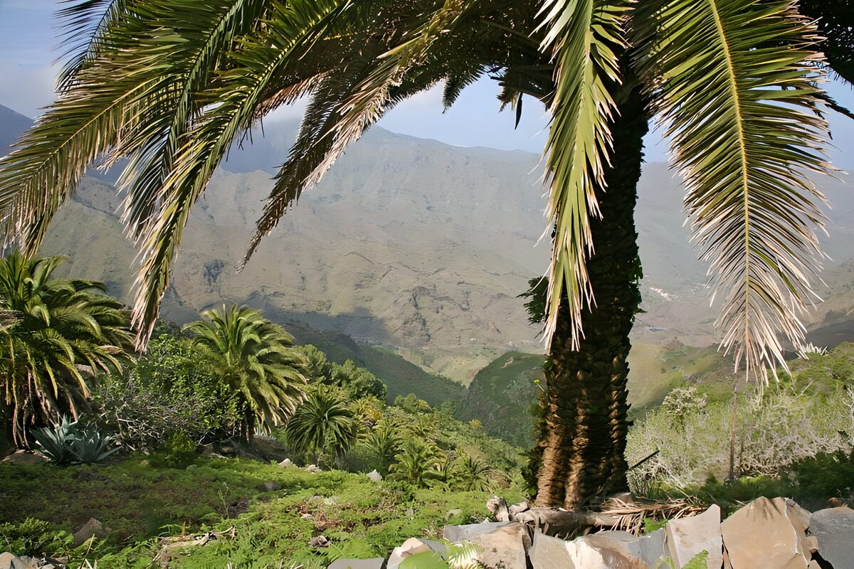 WCUK89824: La Gomera 18