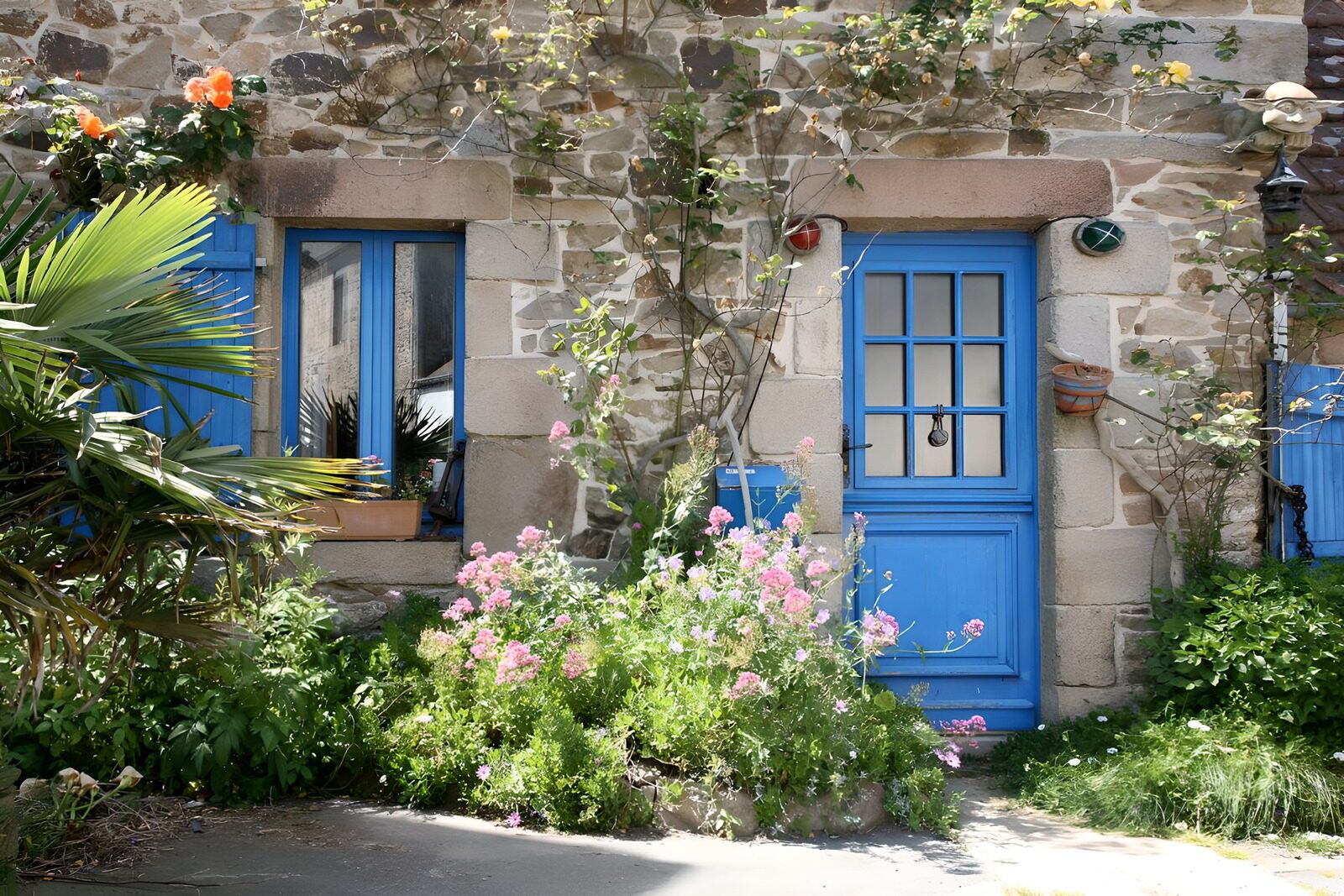 WCUK12407: French cottage with windows , blue shutters , various flowers and plants