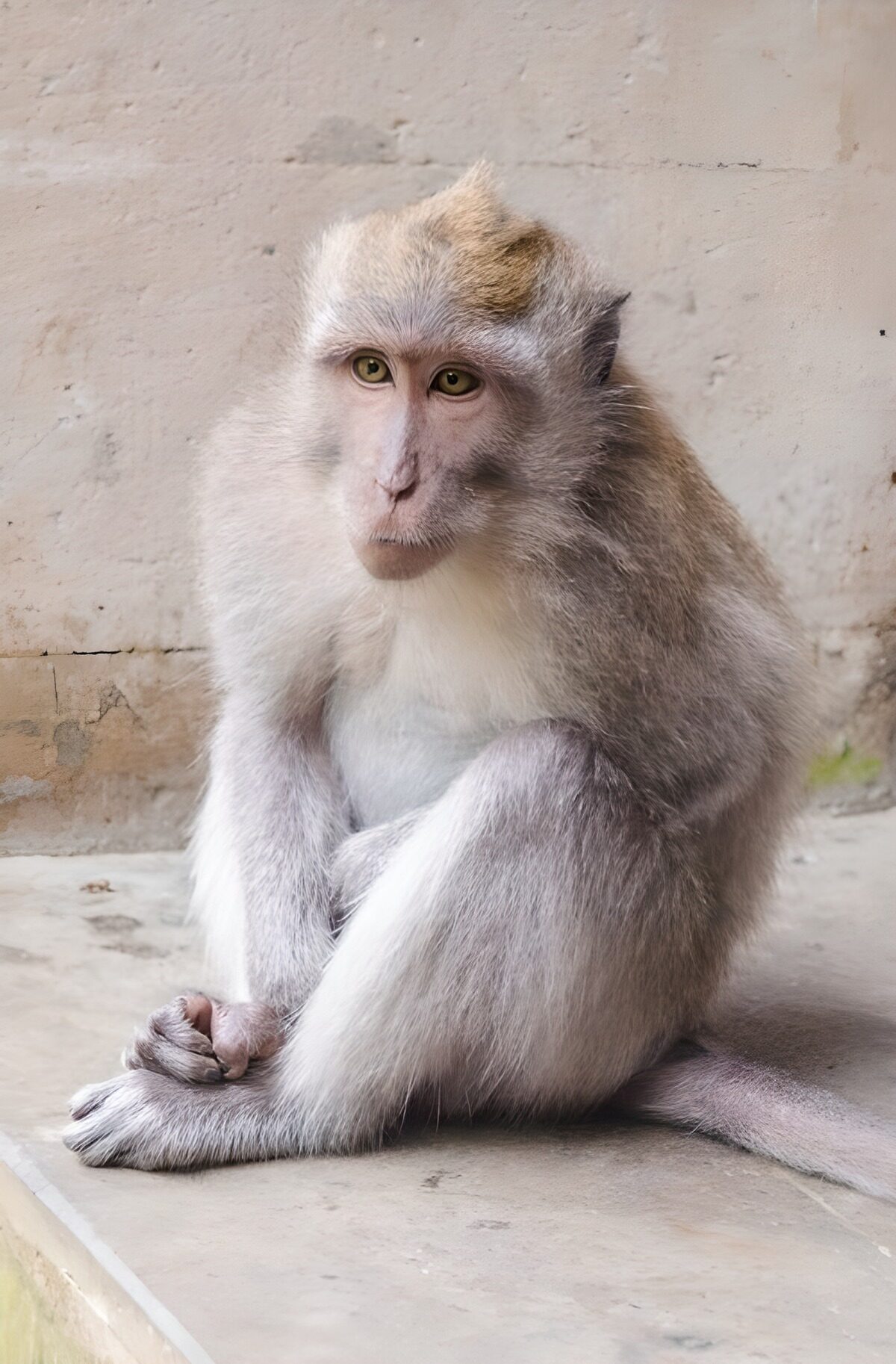 WCUK64140
