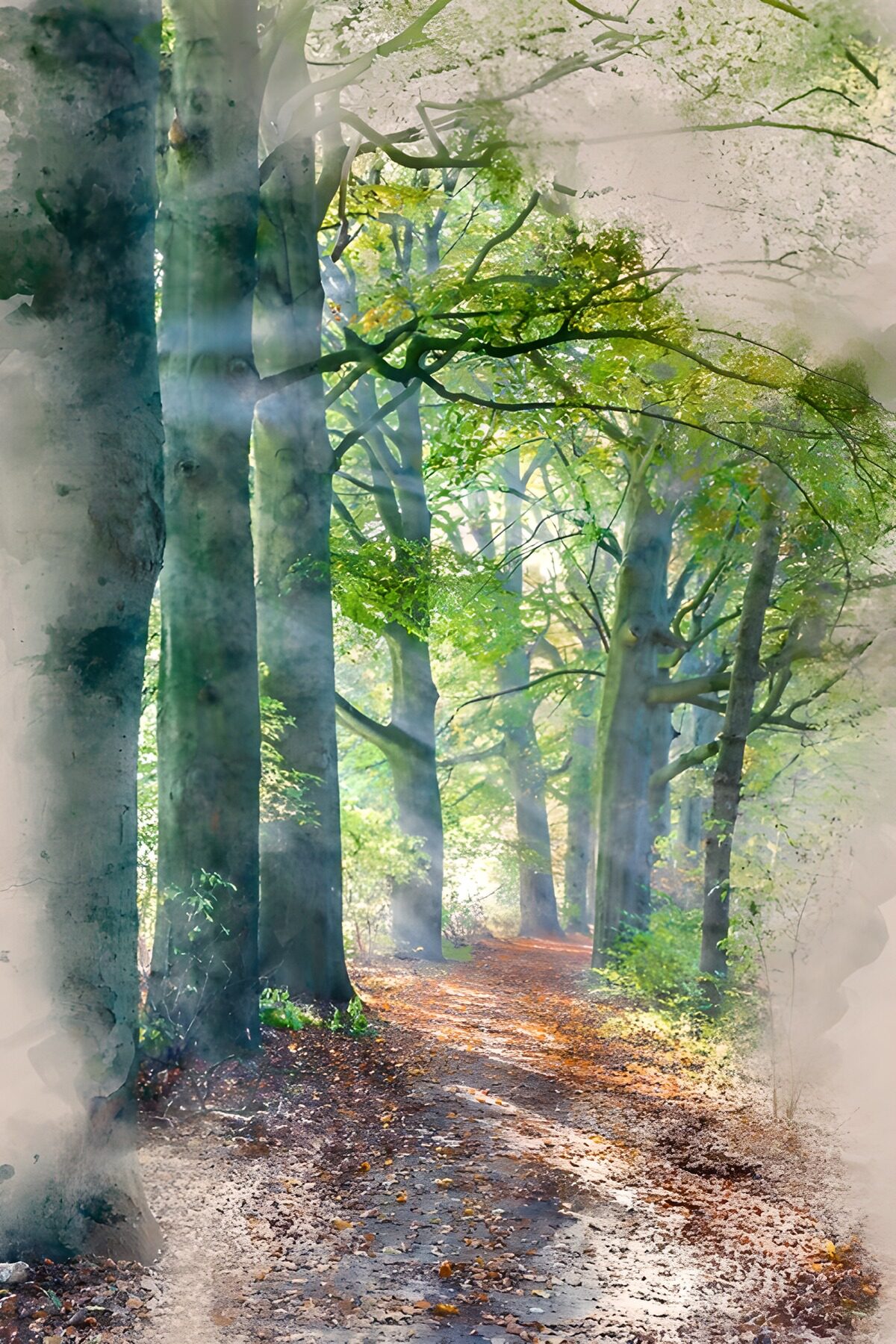 WCUK8238114