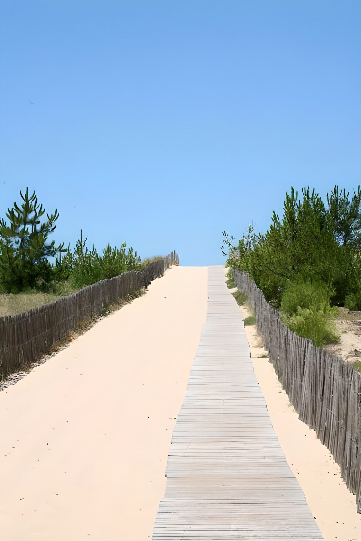 Access to the beach over the dunes and wooden path (decking)