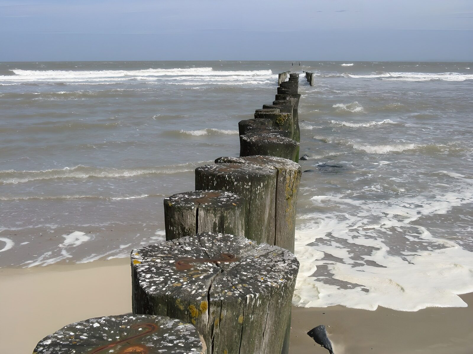 WCUK94488: Zeelandic beach with posts until the sea