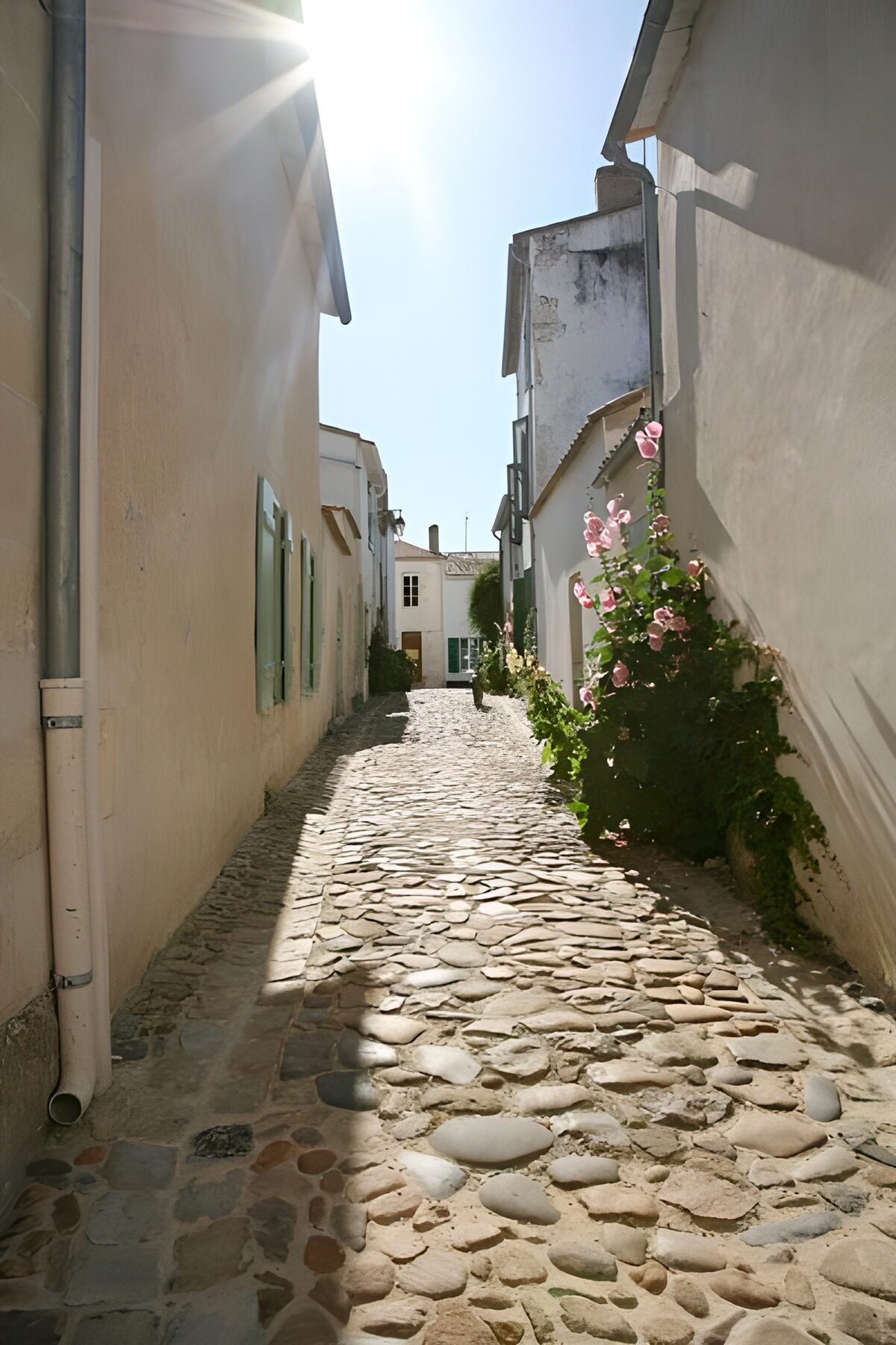 WCUK93586: Sunny view through the alley way with houses