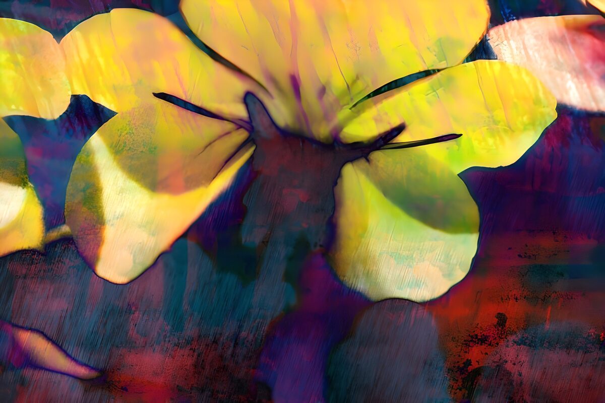 WCUK26195: Flower photo 49