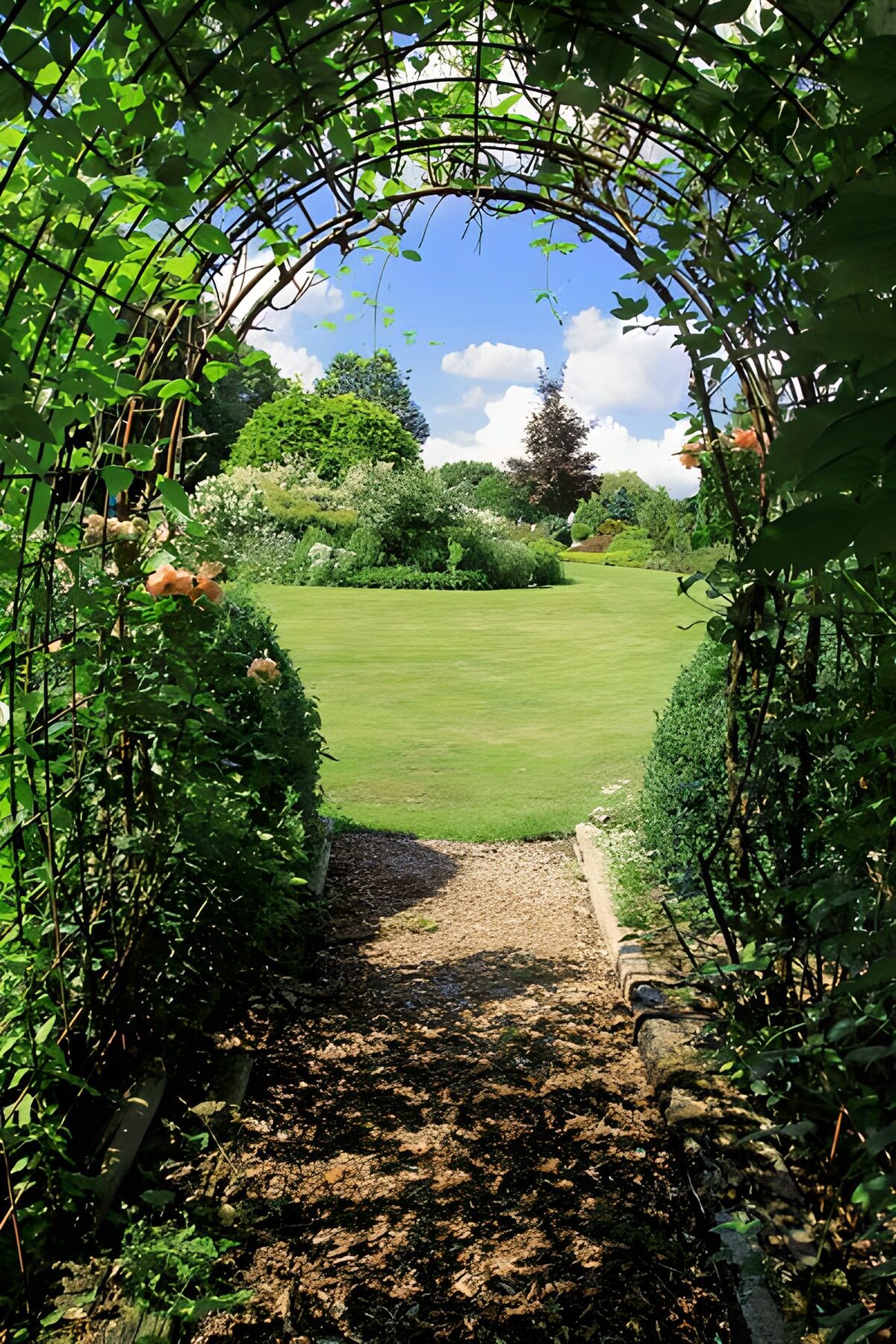 WCUK78773: Path with arch of Ivy to the garden