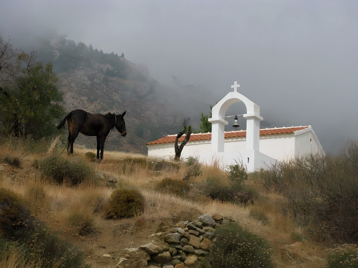 Donkeys on the montain next to an old church in Greece