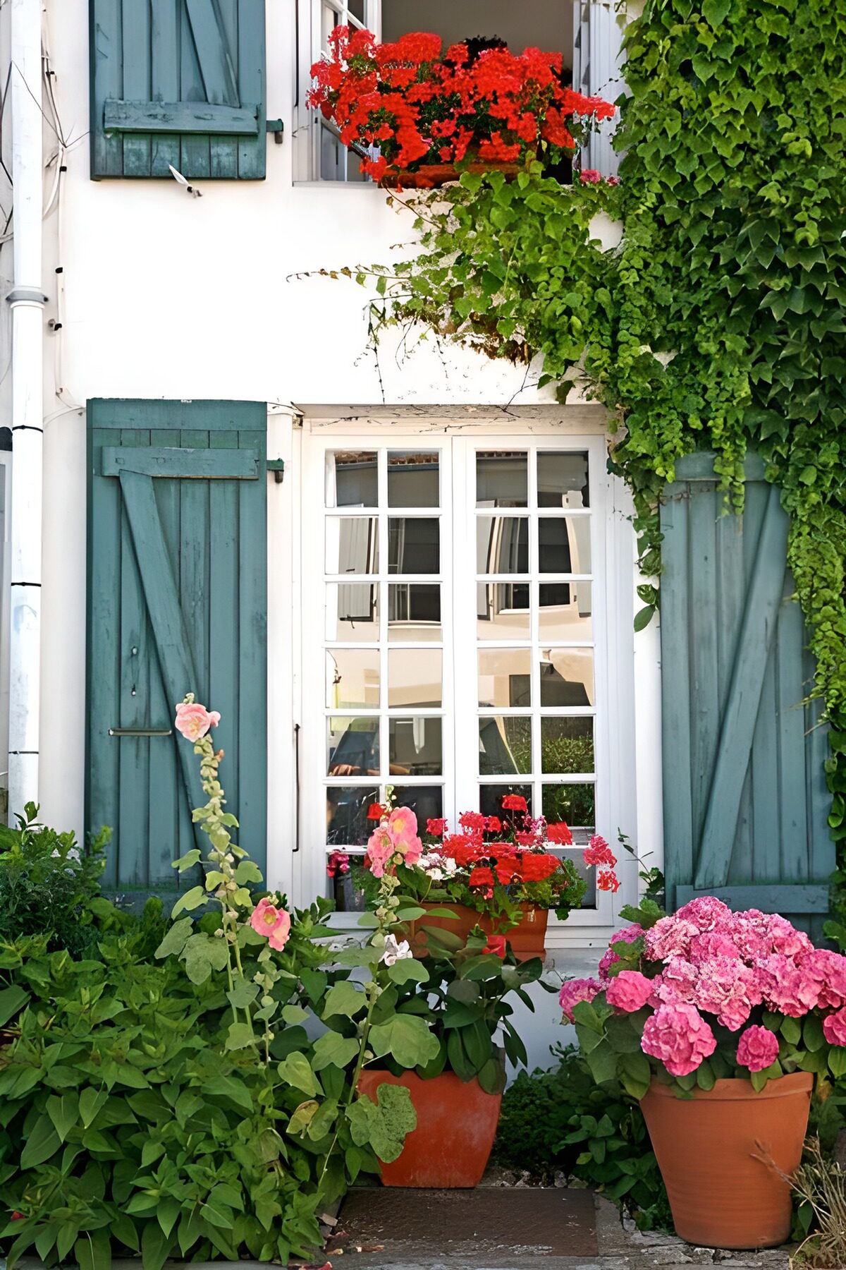 WCUK76739: House with ivy with shutters on the second floor