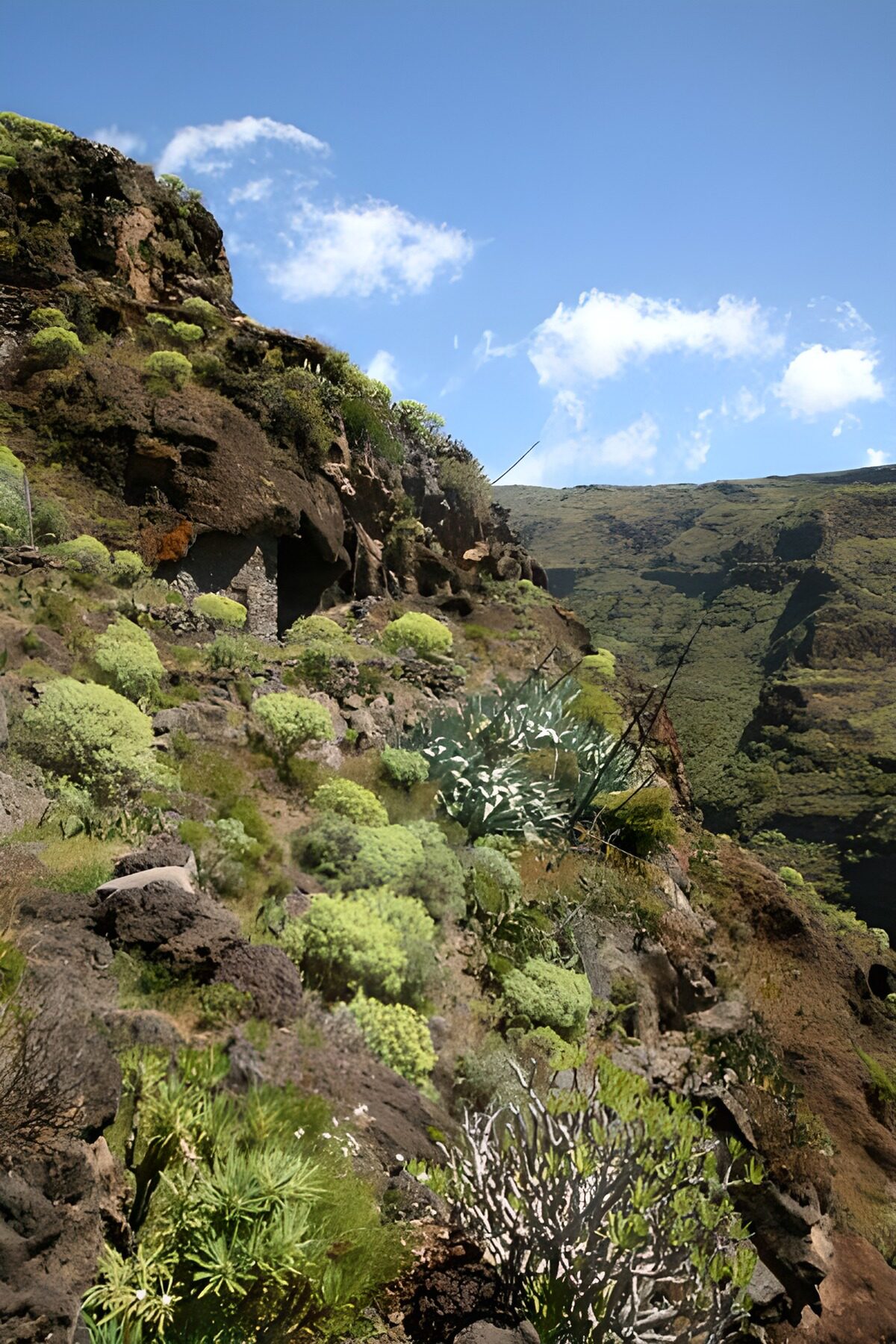 WCUK59618: La Gomera 28