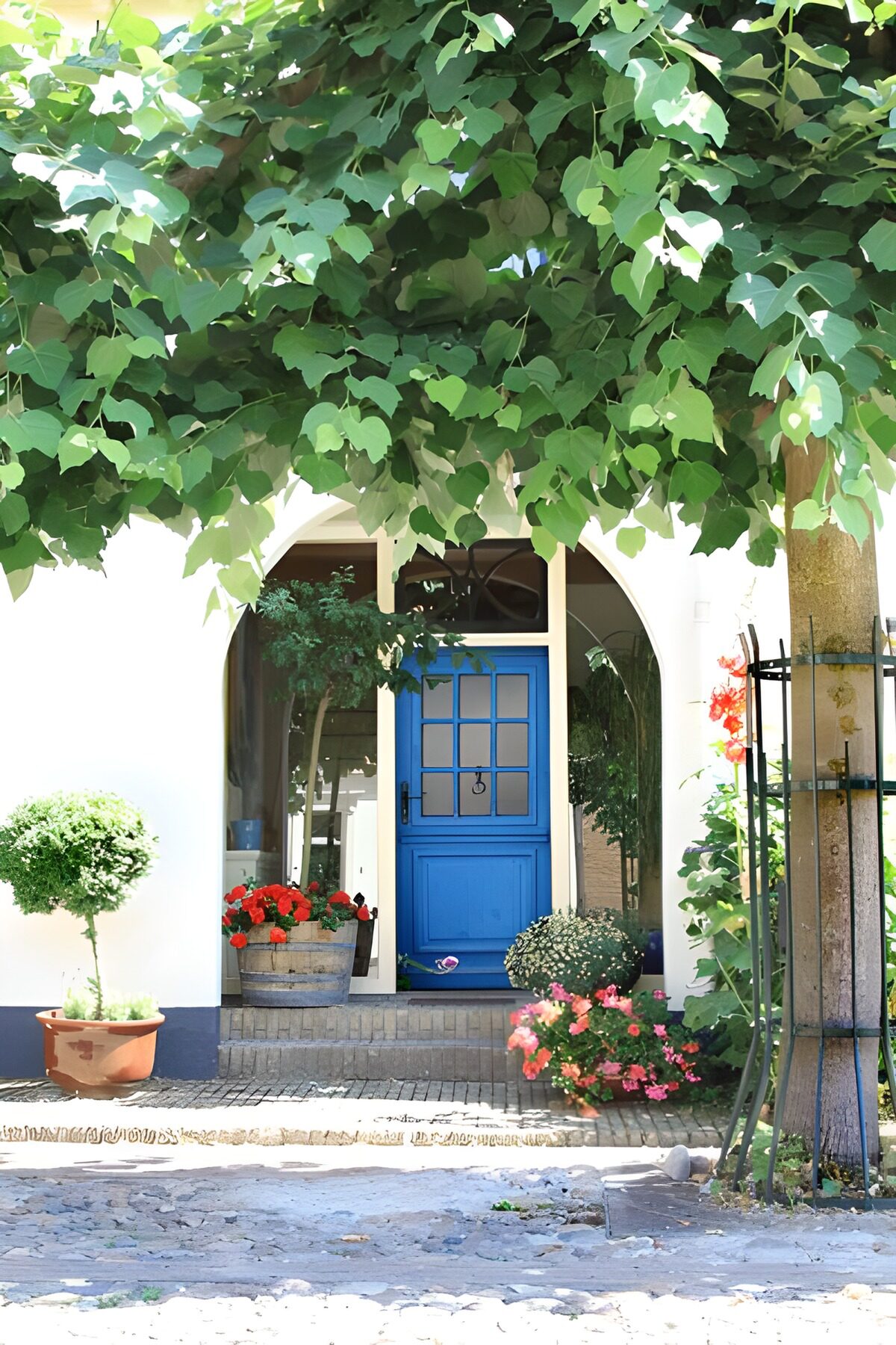 WCUK26800: View of blue door with leaves of tree.