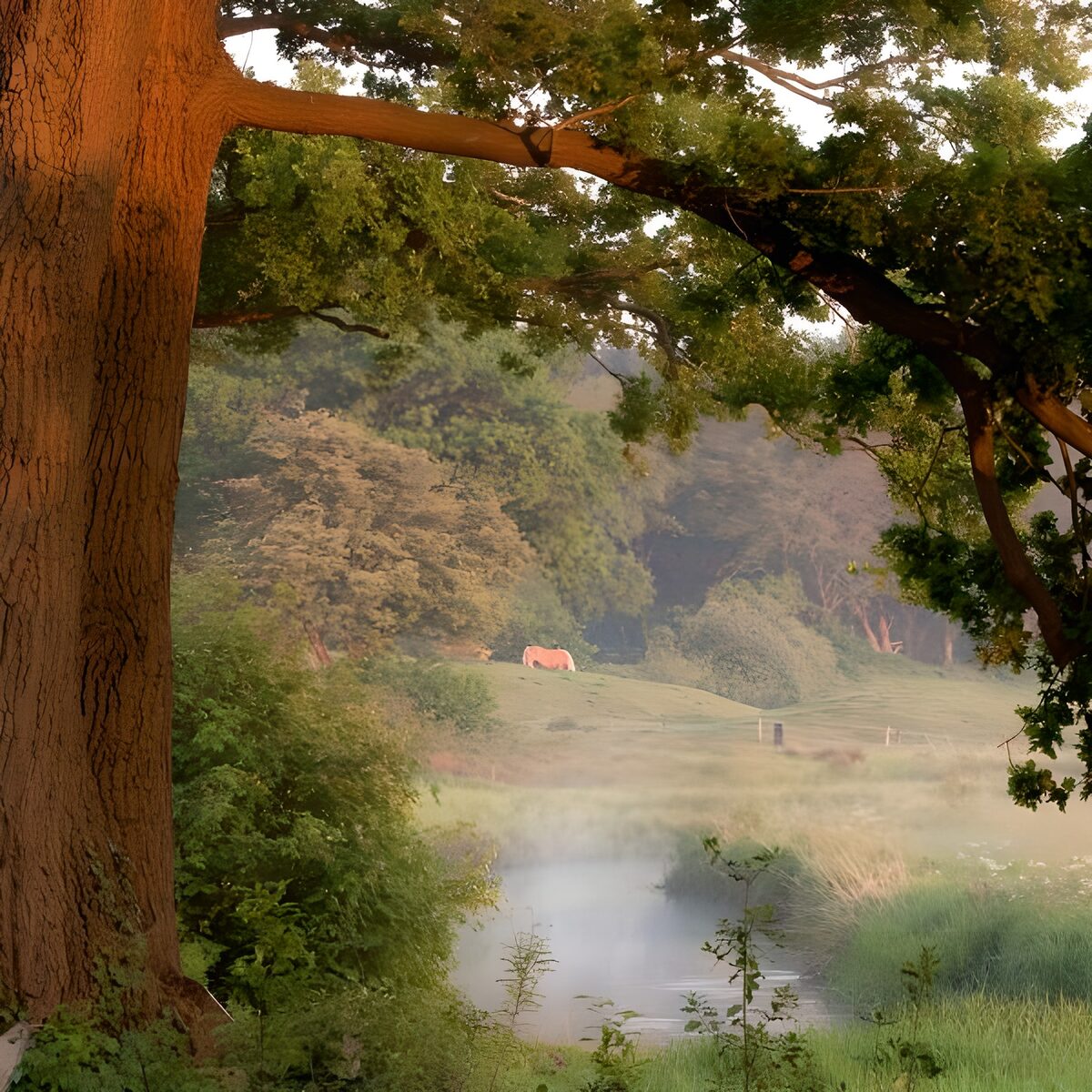 WCUK68542: View past tree  towards horse  with misty stream