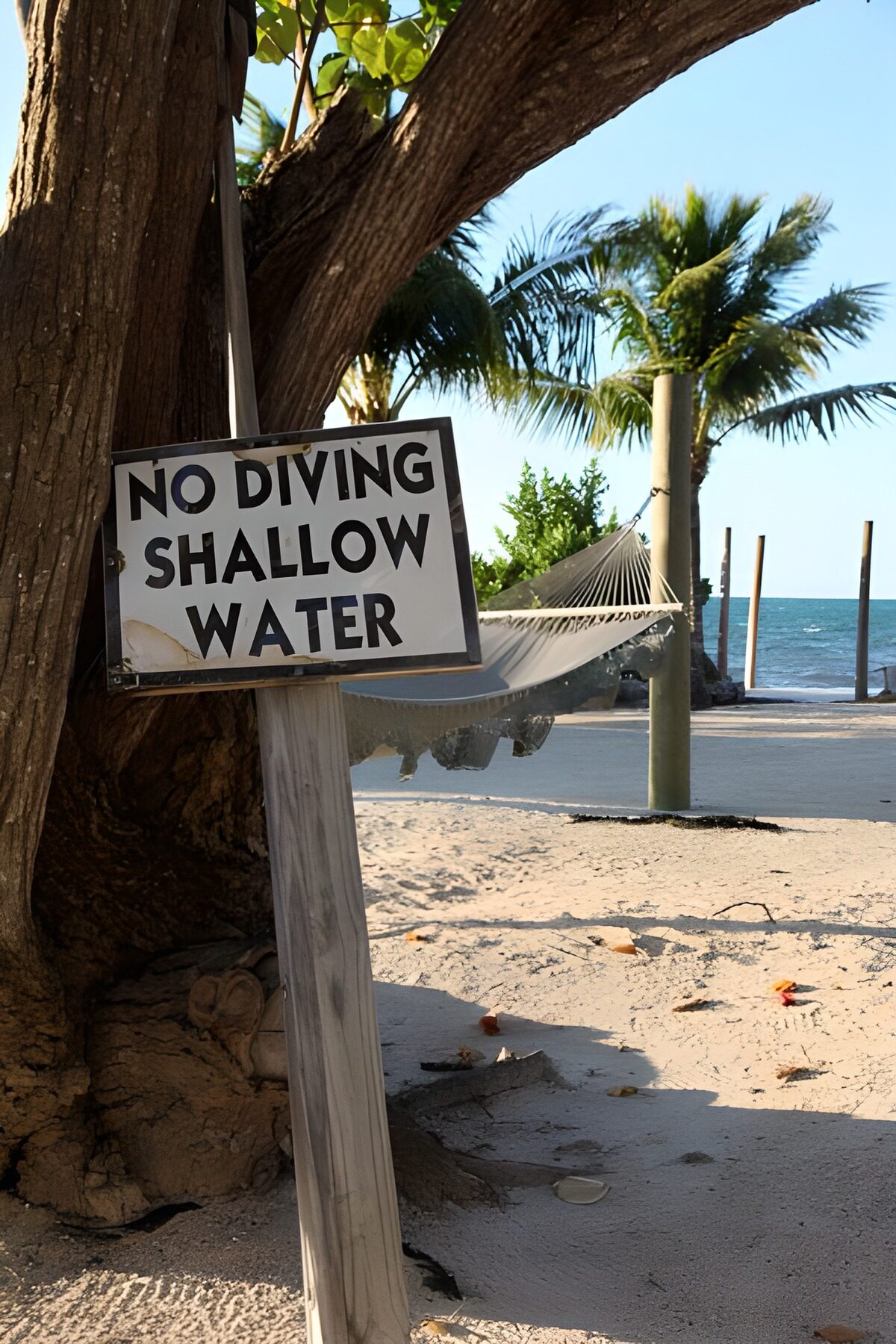 WCUK49703: Palm trees on the beach with 'No Diving Shallow Water' sign