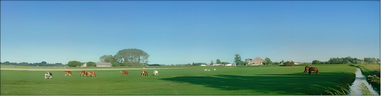 WCUK57461: Dutch meadow landscapes 5