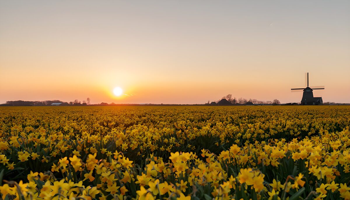 WCUK5161189