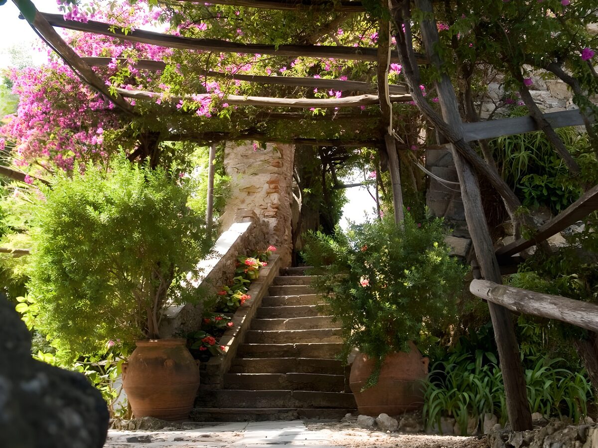 Small steps with terracotta pots, flowers and plants