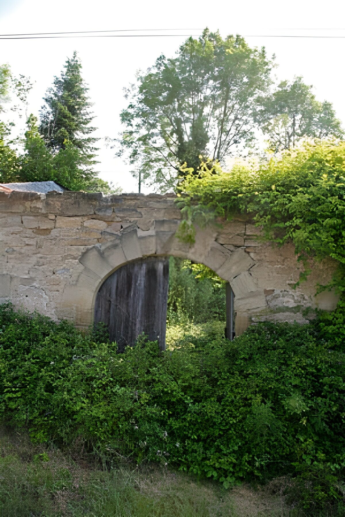 WCUK39335: Door in gate with green foliage 3