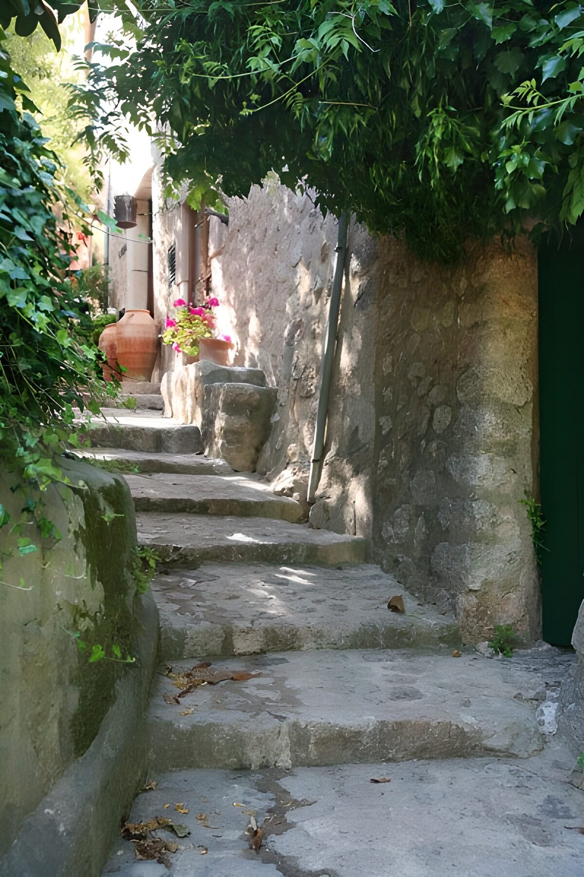 WCUK82749: Small steps along stone wal with hanging foliage 1